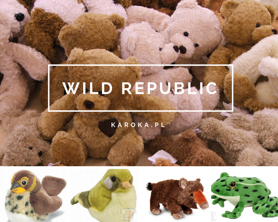 Wild Republik